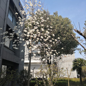 廠區（qū）環境