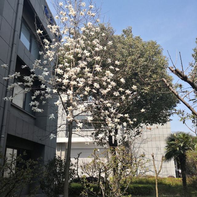 廠區環境（jìng）