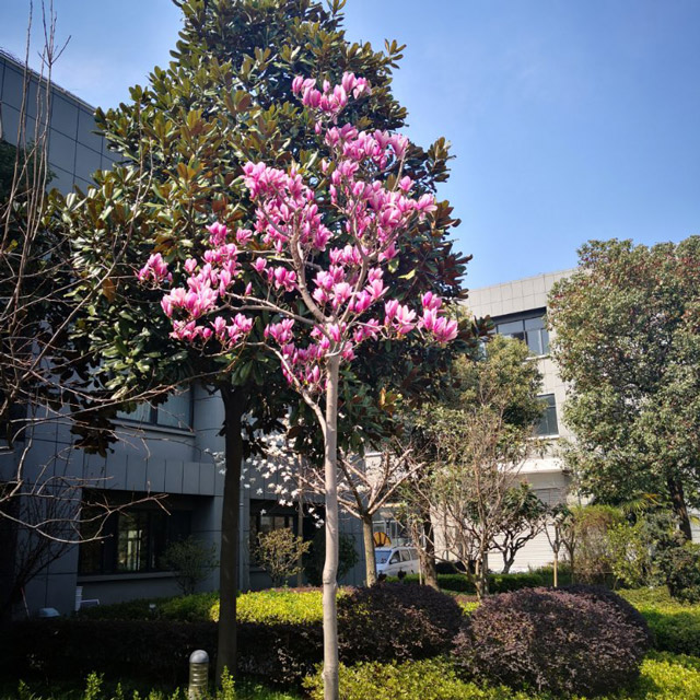 廠區（qū）環境（jìng）